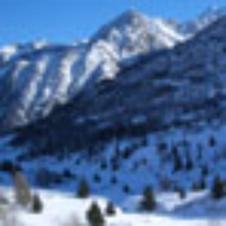 Preachers Patisserie